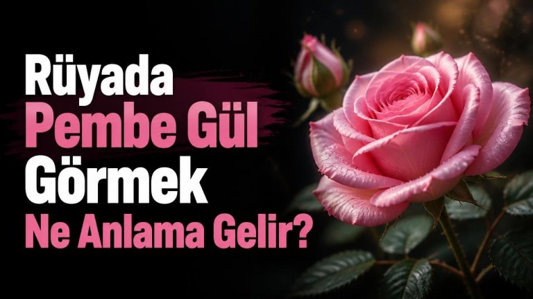 Rüyada Pembe Gül Görmek Ne Anlama Gelir?