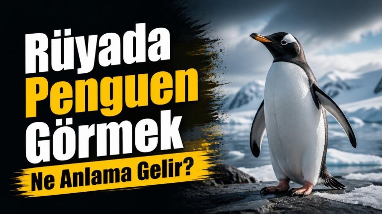 Rüyada Penguen Görmek Ne Anlama Gelir?
