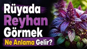 Rüyada Reyhan Görmek Ne Anlama Gelir?