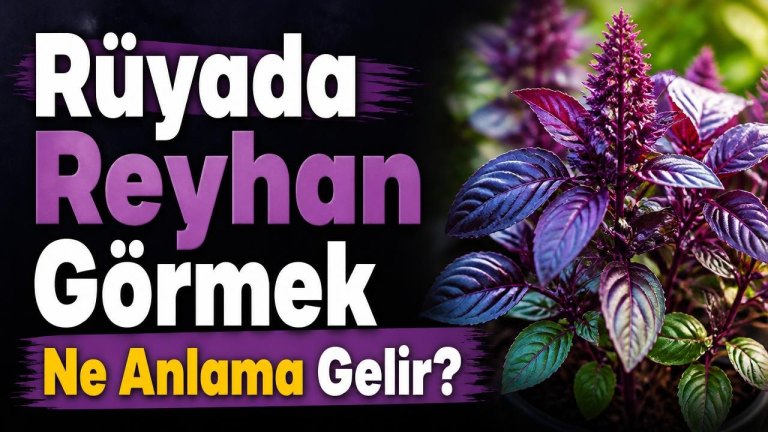 Rüyada Reyhan Görmek Ne Anlama Gelir?