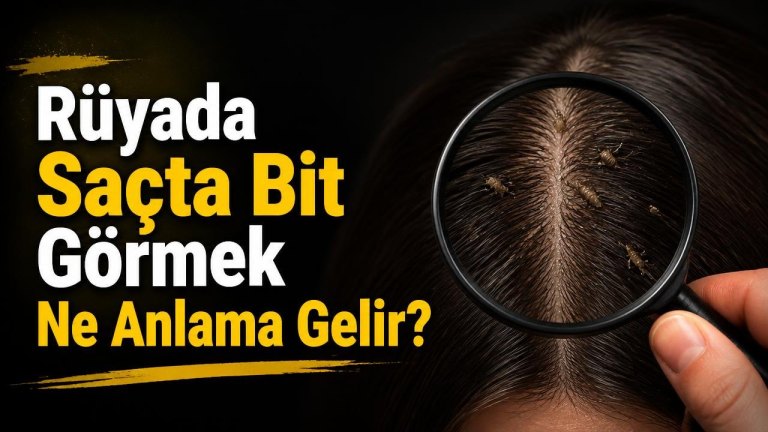 Rüyada Saçta Bit Görmek Ne Anlama Gelir?