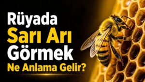Rüyada Sarı Arı Görmek Ne Anlama Gelir?