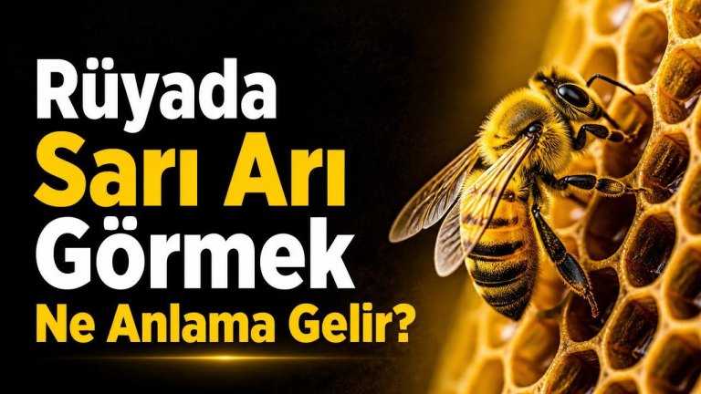 Rüyada Sarı Arı Görmek Ne Anlama Gelir?