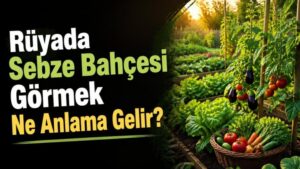 Rüyada Sebze Bahçesi Görmek Ne Anlama Gelir?