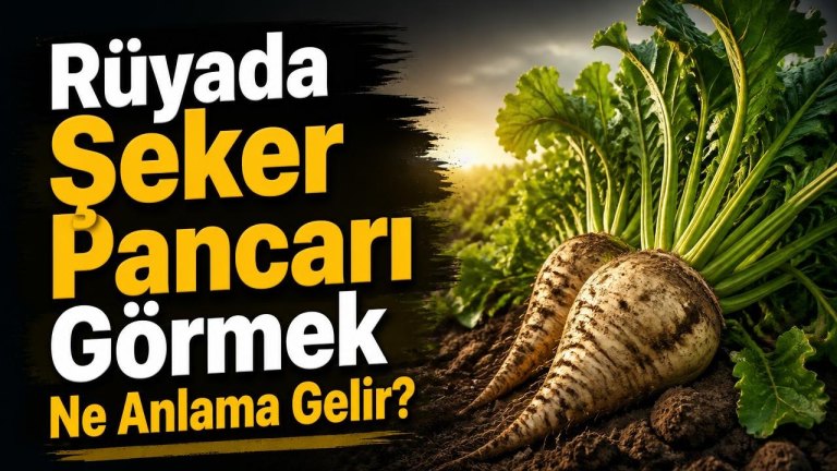 Rüyada Şeker Pancarı Görmek Ne Anlama Gelir?