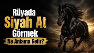 Rüyada Siyah At Görmek Ne Anlama Gelir?