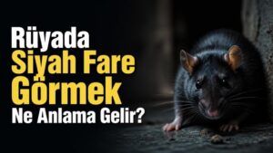 Rüyada Siyah Fare Görmek Ne Anlama Gelir?