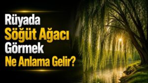 Rüyada Söğüt Ağacı Görmek Ne Anlama Gelir?