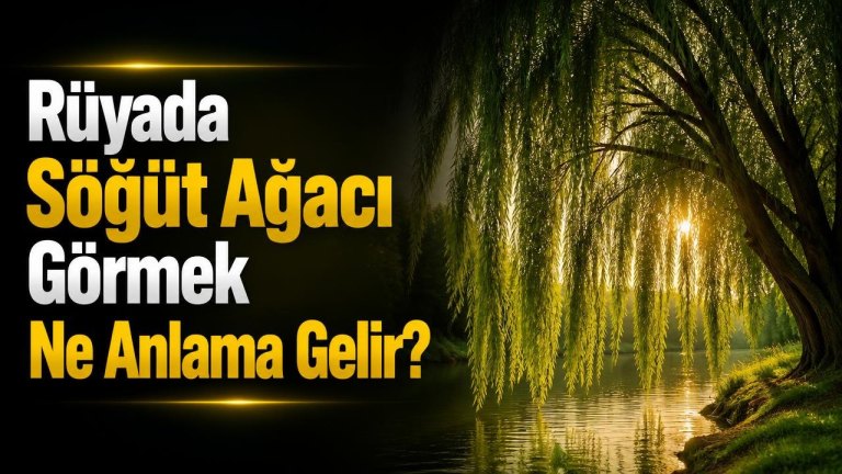 Rüyada Söğüt Ağacı Görmek Ne Anlama Gelir?
