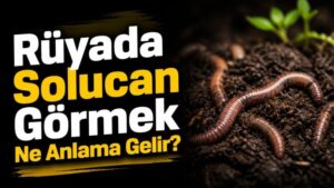 Rüyada Solucan Görmek Ne Anlama Gelir?