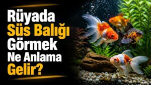 Rüyada Süs Balığı Görmek Ne Anlama Gelir?