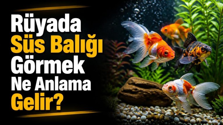 Rüyada Süs Balığı Görmek Ne Anlama Gelir?