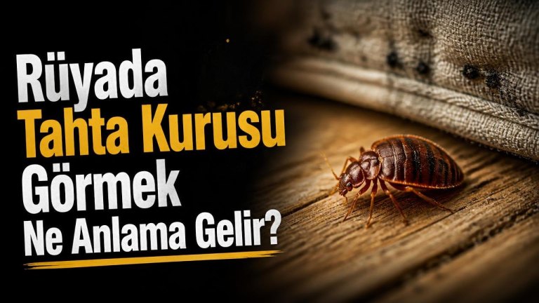 Rüyada Tahta Kurusu Görmek Ne Anlama Gelir?