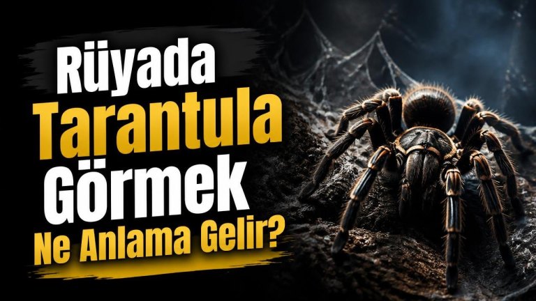 Rüyada Tarantula Görmek Ne Anlama Gelir?