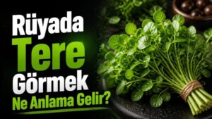 Rüyada Tere Görmek Ne Anlama Gelir?