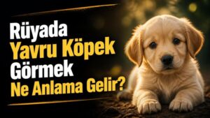 Rüyada Yavru Köpek Görmek Ne Anlama Gelir?