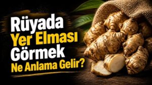 Rüyada Yer Elması Görmek Ne Anlama Gelir?