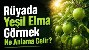 Rüyada Yeşil Elma Görmek Ne Anlama Gelir?