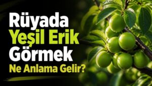 Rüyada Yeşil Erik Görmek Ne Anlama Gelir?