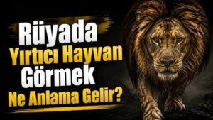 Rüyada Yırtıcı Hayvan Görmek Ne Anlama Gelir?