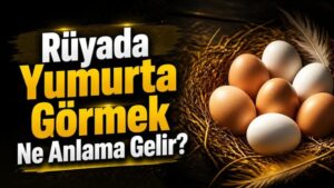 Rüyada Yumurta Görmek Ne Anlama Gelir?