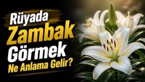 Rüyada Zambak Görmek Ne Anlama Gelir?